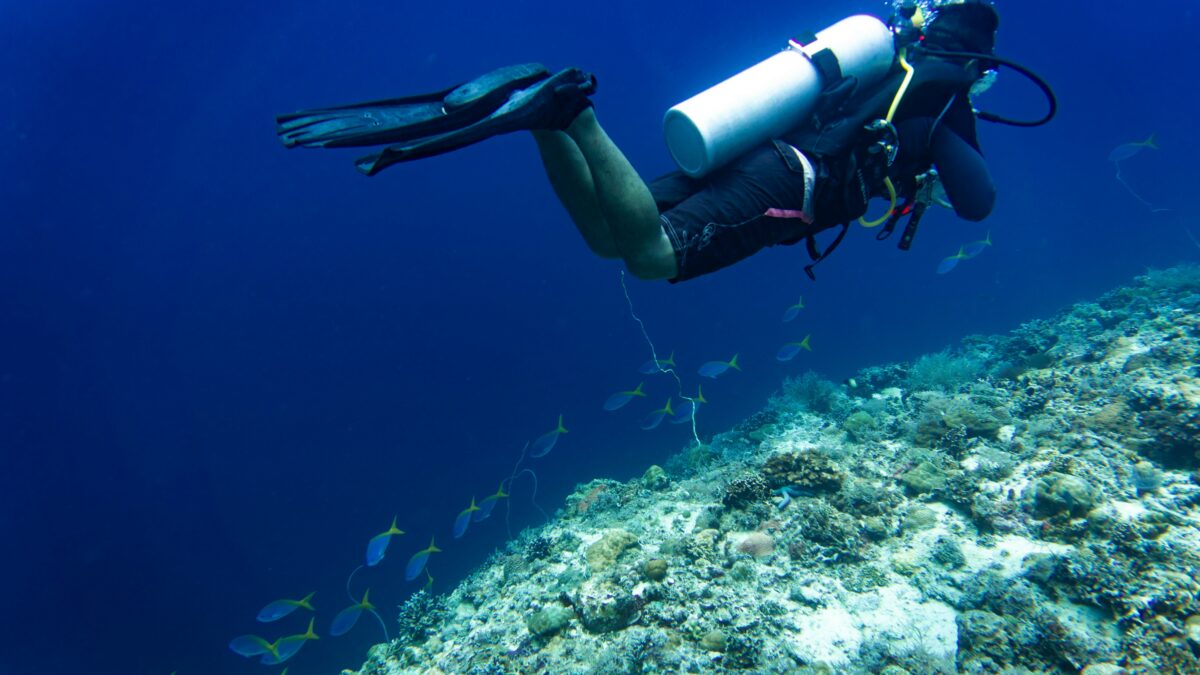 PADI certified diver exploring a coral reef with tropical fish near Tioman Island