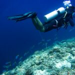 PADI certified diver exploring a coral reef with tropical fish near Tioman Island