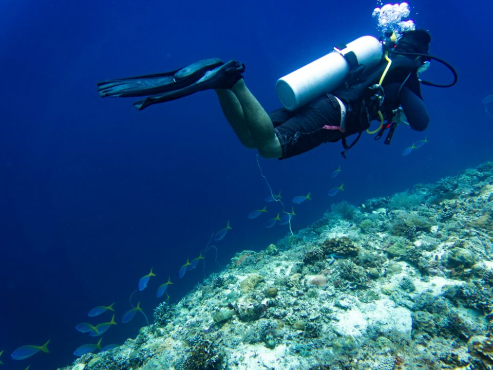 PADI certified diver exploring a coral reef with tropical fish near Tioman Island