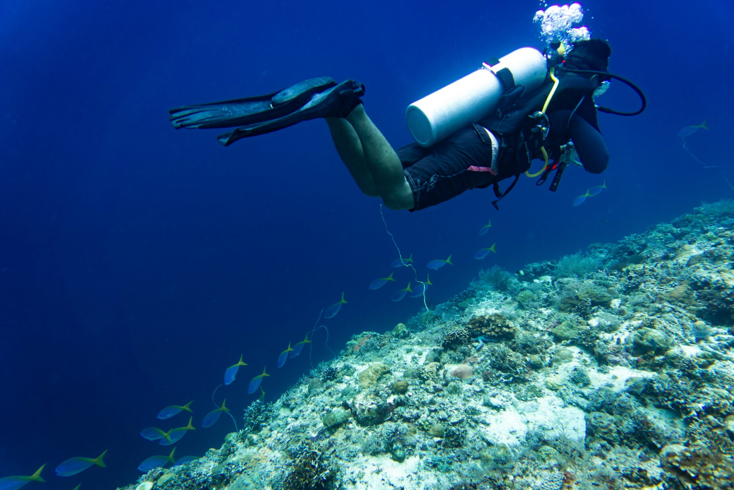 PADI certified diver exploring a coral reef with tropical fish near Tioman Island