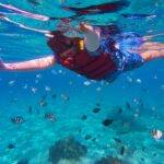 Snorkeler exploring a shallow reef close to shore