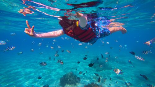 Snorkeler exploring a shallow reef close to shore