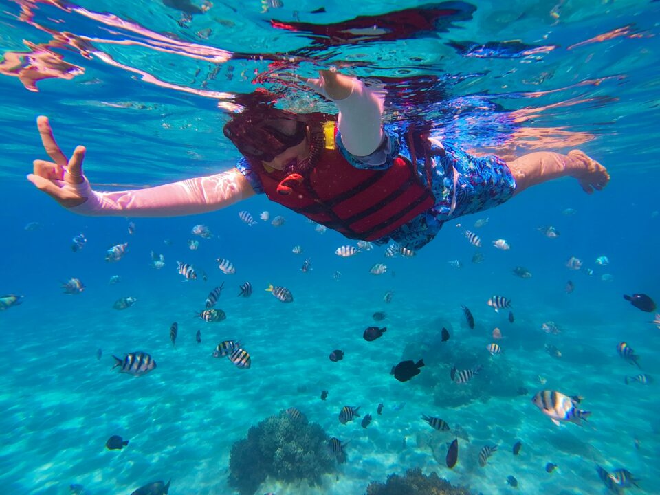 Snorkeler exploring a shallow reef close to shore